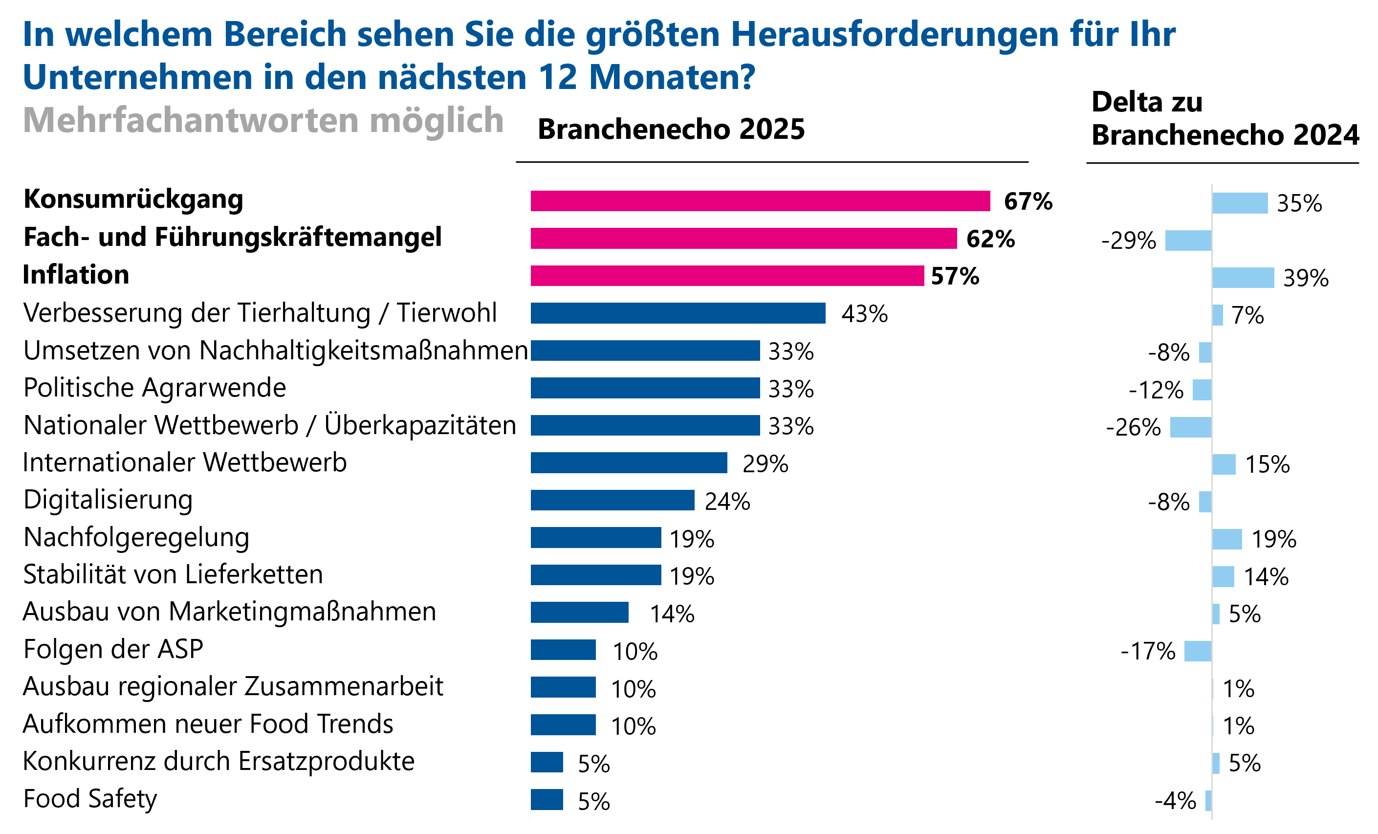 Grafik_Herausforderungen in den nächsten 12 Monaten.png